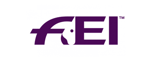 FEI logo